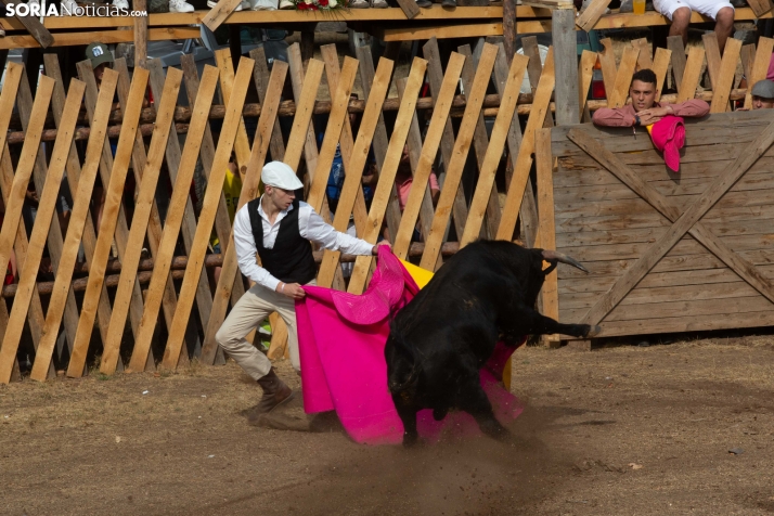 Becerrada de Vinuesa 2026