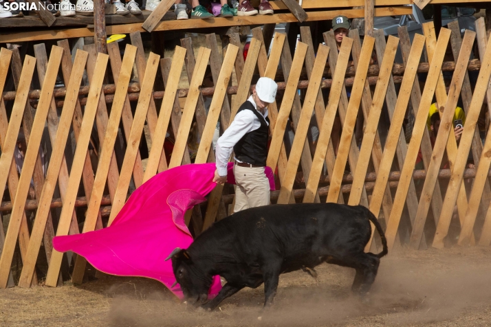 Becerrada de Vinuesa 2026