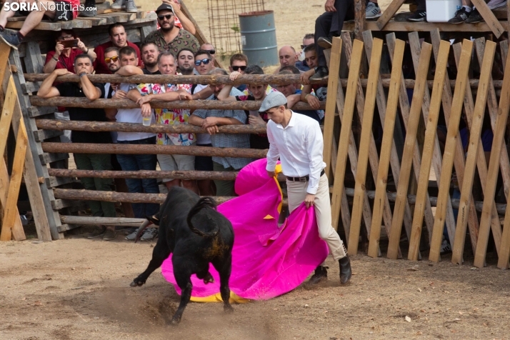 Becerrada de Vinuesa 2026