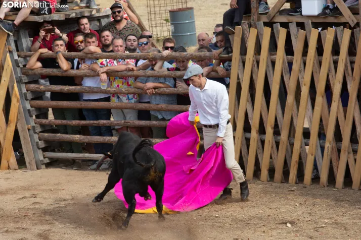 Becerrada de Vinuesa 2026