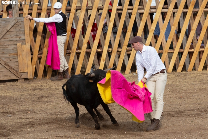 Becerrada de Vinuesa 2026