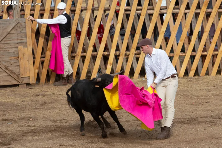 Becerrada de Vinuesa 2026