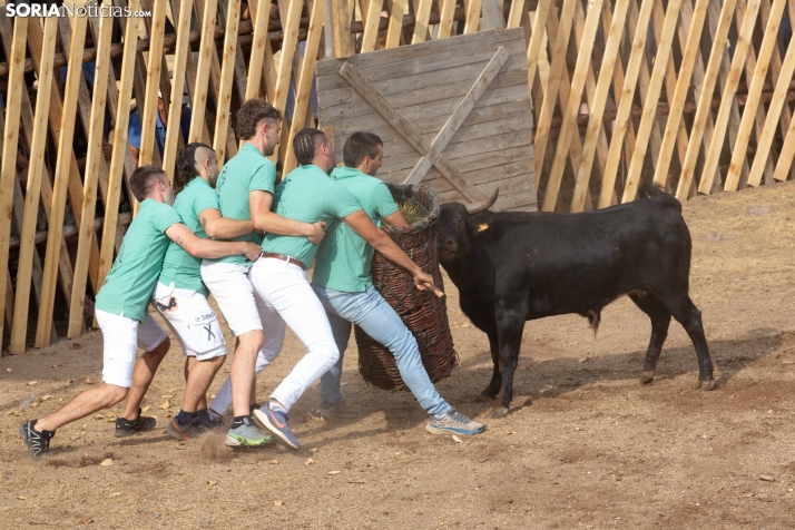 Becerrada de Vinuesa 2026