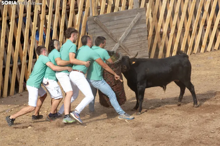 Becerrada de Vinuesa 2026