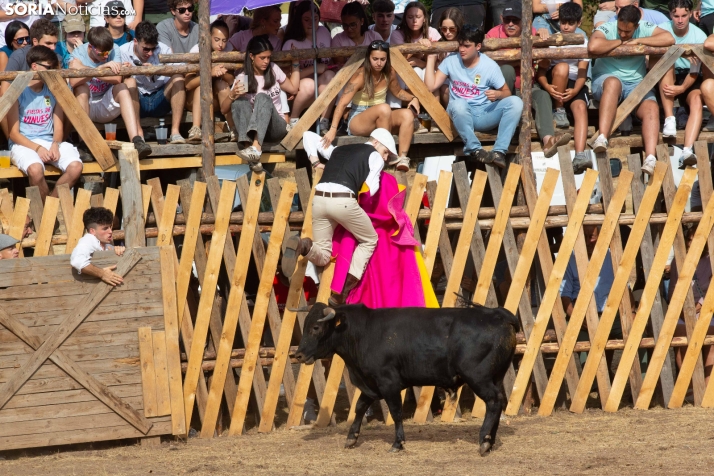 Becerrada de Vinuesa 2026