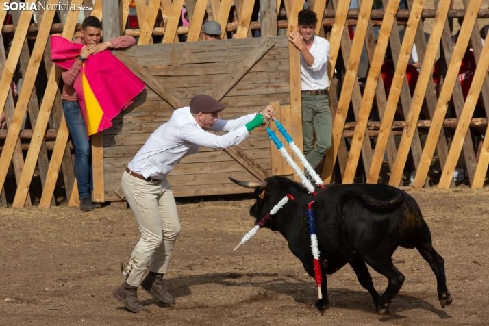 Becerrada de Vinuesa 2026