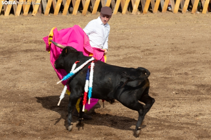 Becerrada de Vinuesa 2026