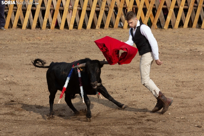 Becerrada de Vinuesa 2026