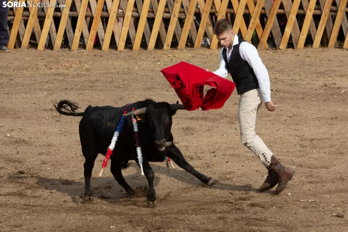 Becerrada de Vinuesa 2026