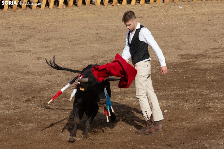 Becerrada de Vinuesa 2026