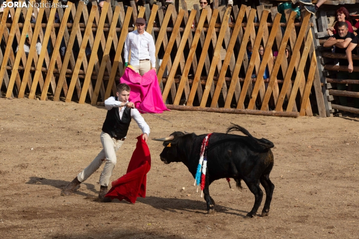 Becerrada de Vinuesa 2026