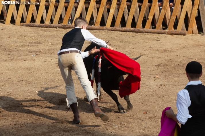Becerrada de Vinuesa 2026