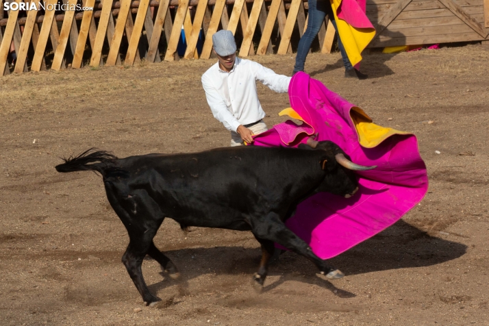 Becerrada de Vinuesa 2026