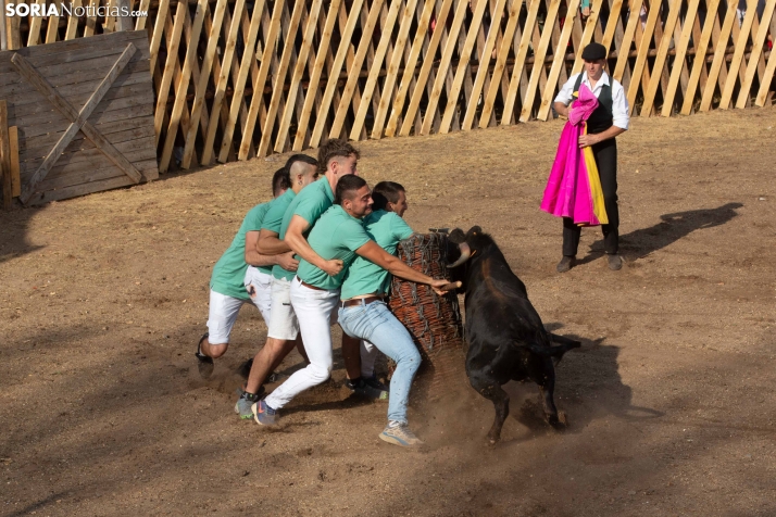 Becerrada de Vinuesa 2026