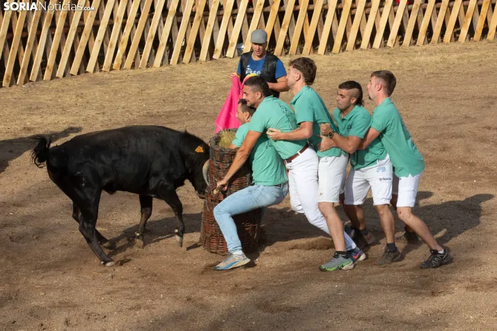 Becerrada de Vinuesa 2026