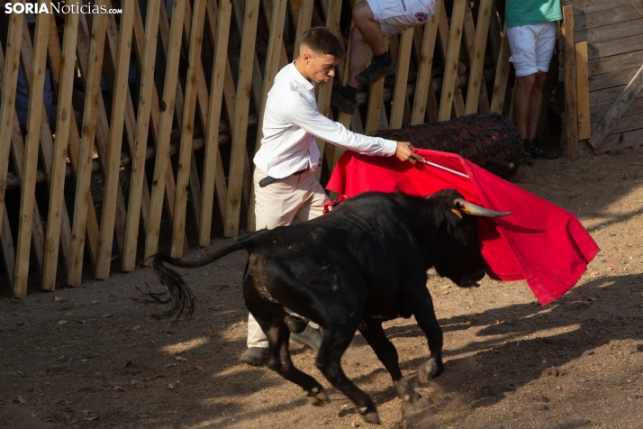 Becerrada de Vinuesa 2026