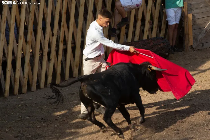 Becerrada de Vinuesa 2026