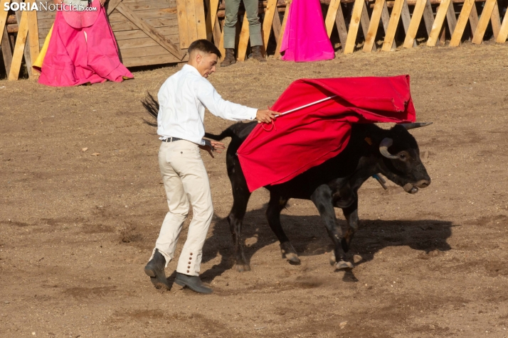 Becerrada de Vinuesa 2026