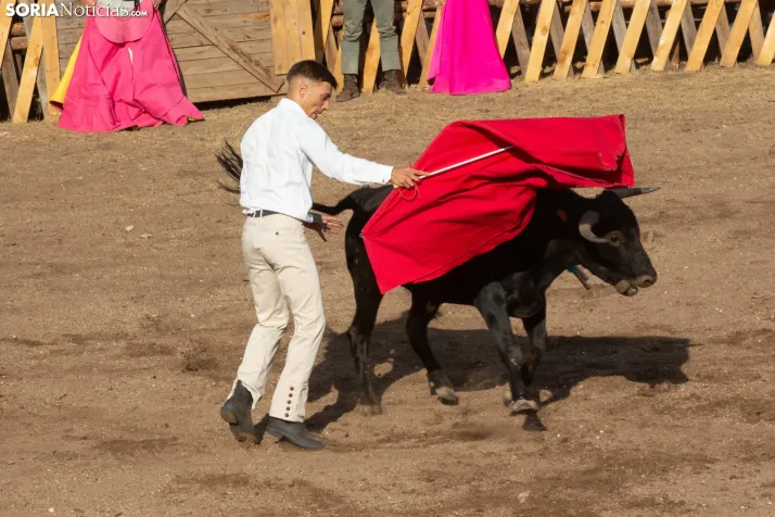 Becerrada de Vinuesa 2026
