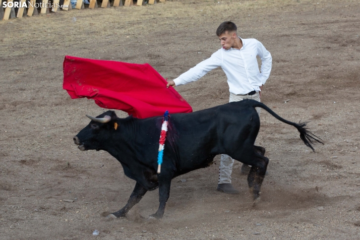 Becerrada de Vinuesa 2026