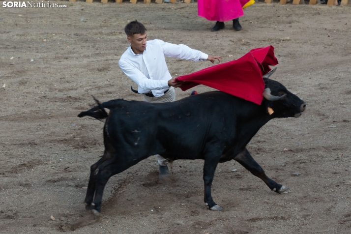 Becerrada de Vinuesa 2026