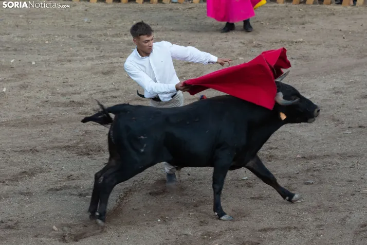 Becerrada de Vinuesa 2026