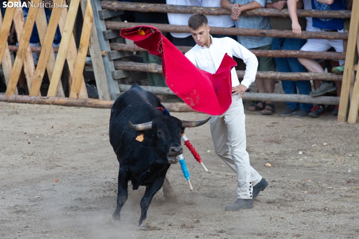 Becerrada de Vinuesa 2026