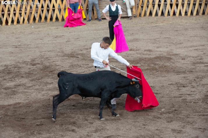 Becerrada de Vinuesa 2026