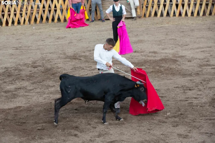Becerrada de Vinuesa 2026