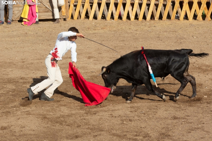 Becerrada de Vinuesa 2026