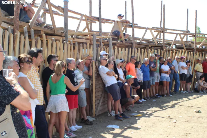 La tradici&oacute;n de la madera se convierte en espect&aacute;culo en Vinuesa 