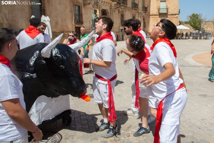 Disfraces de verano en Almazán 2026