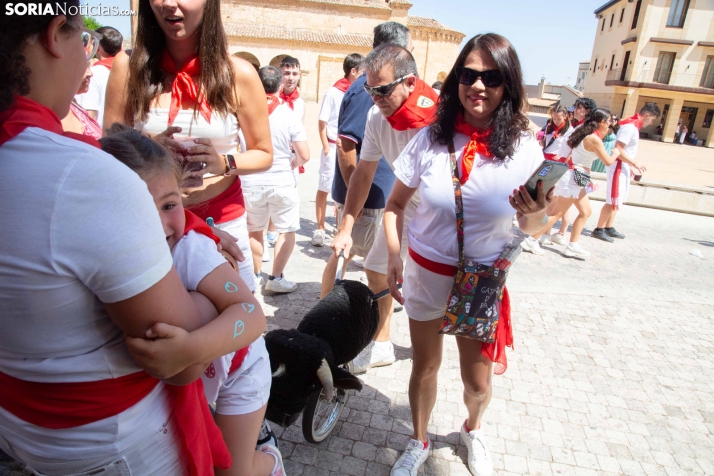 Disfraces de verano en Almazán 2026