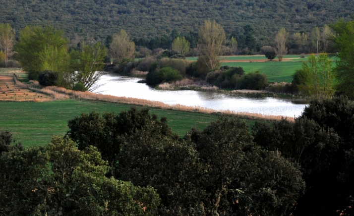 La Junta y Ferduero impulsan la modernización del regadío en la cuenca