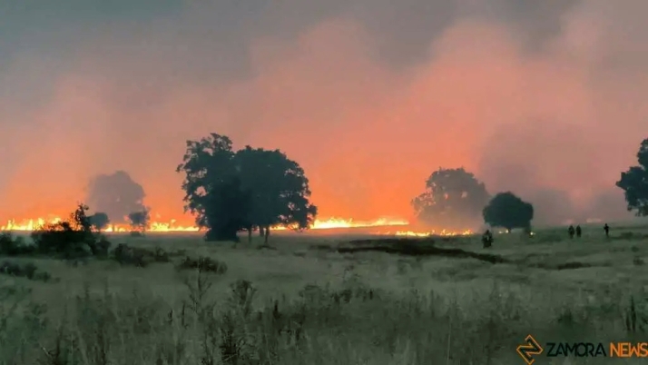 La Consejería de Agricultura, Ganadería, Medio Rural y Política Ambiental agiliza la tramitación de las ayudas de 5.500 euros para los afectados por los incendios