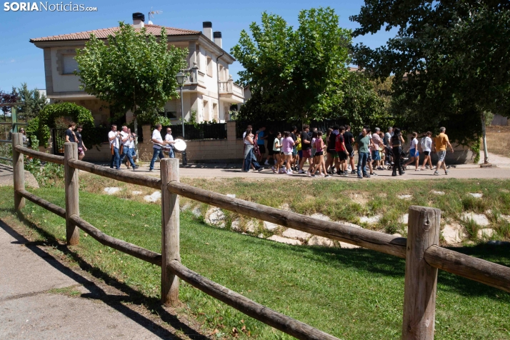 Gallofa Golmano 2026