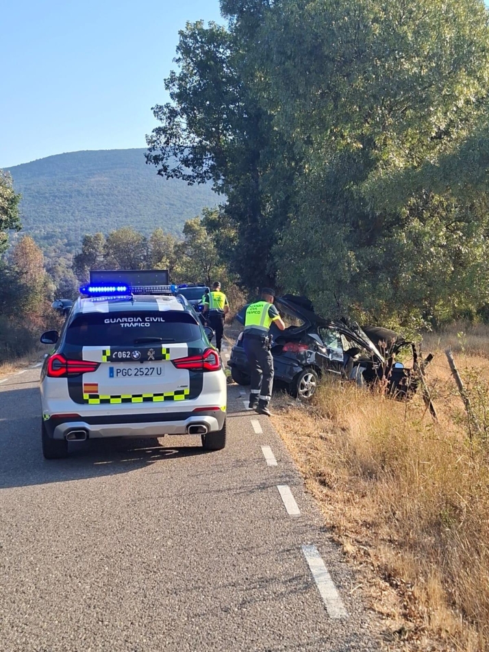 AMPLIACIÓN | Muere un joven de 19 años tras salirse de la vía y chocar contra un árbol en Villar del Ala 