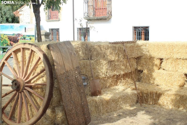 En im&aacute;genes: Valdeavellano de Tera vuelve a presumir de su mantequilla con su tradicional feria