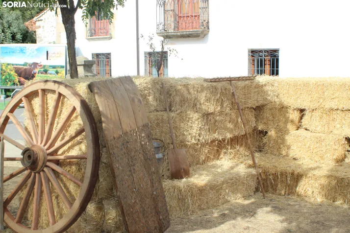En im&aacute;genes: Valdeavellano de Tera vuelve a presumir de su mantequilla con su tradicional feria