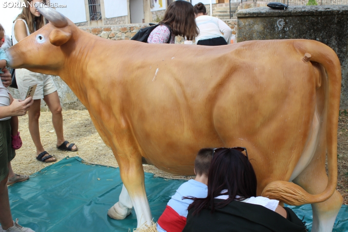 En im&aacute;genes: Valdeavellano de Tera vuelve a presumir de su mantequilla con su tradicional feria
