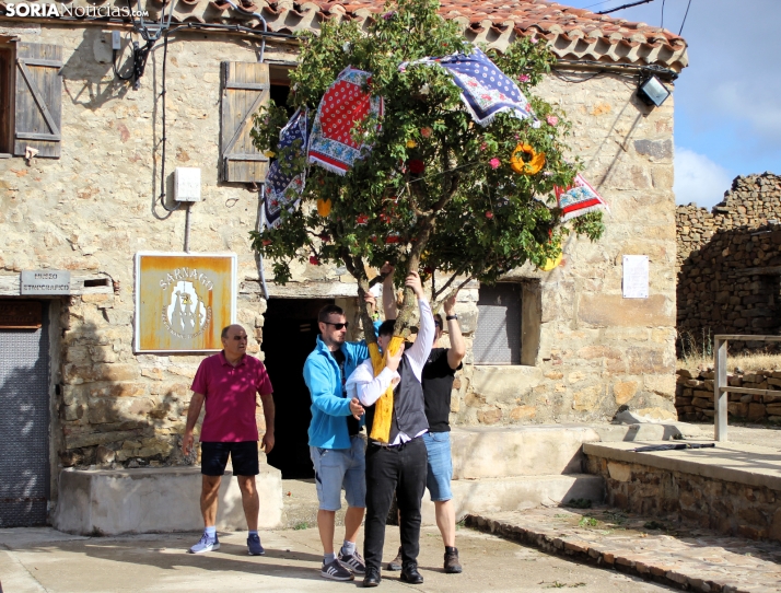 GALER&Iacute;A | Las M&oacute;ndidas y el Ramo, una tradici&oacute;n que perdura en Sarnago