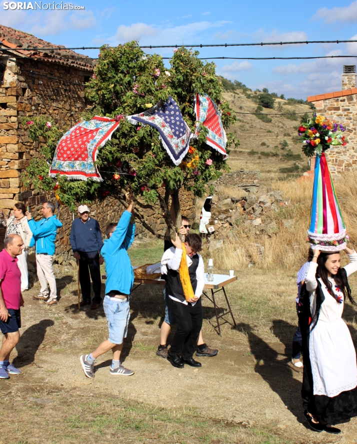 GALER&Iacute;A | Las M&oacute;ndidas y el Ramo, una tradici&oacute;n que perdura en Sarnago