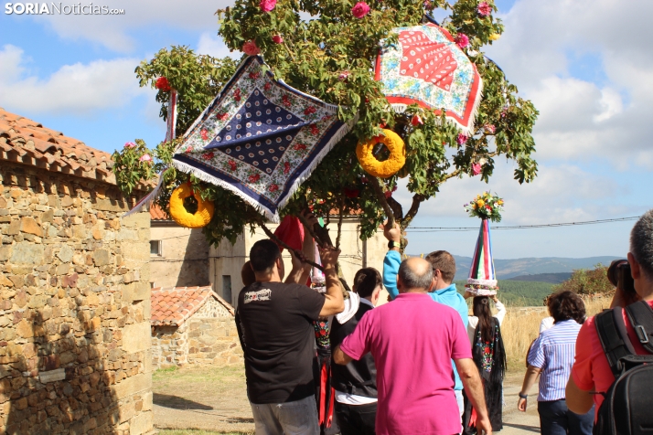 GALER&Iacute;A | Las M&oacute;ndidas y el Ramo, una tradici&oacute;n que perdura en Sarnago