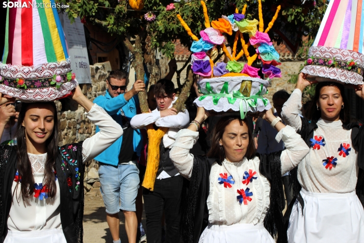 GALER&Iacute;A | Las M&oacute;ndidas y el Ramo, una tradici&oacute;n que perdura en Sarnago
