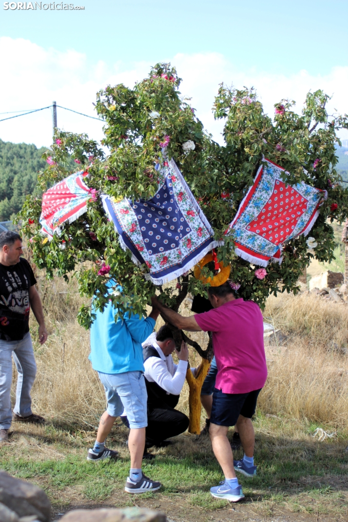 GALER&Iacute;A | Las M&oacute;ndidas y el Ramo, una tradici&oacute;n que perdura en Sarnago