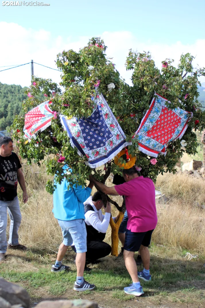 GALER&Iacute;A | Las M&oacute;ndidas y el Ramo, una tradici&oacute;n que perdura en Sarnago