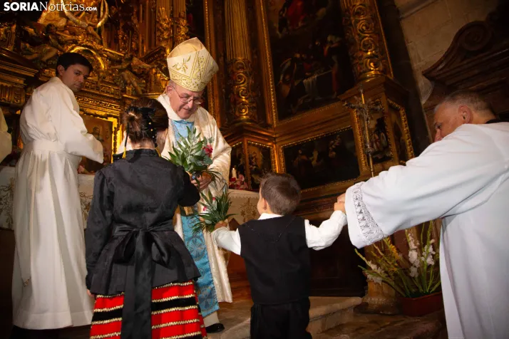 Ofrenda floral a la Virgen del Espino 2026