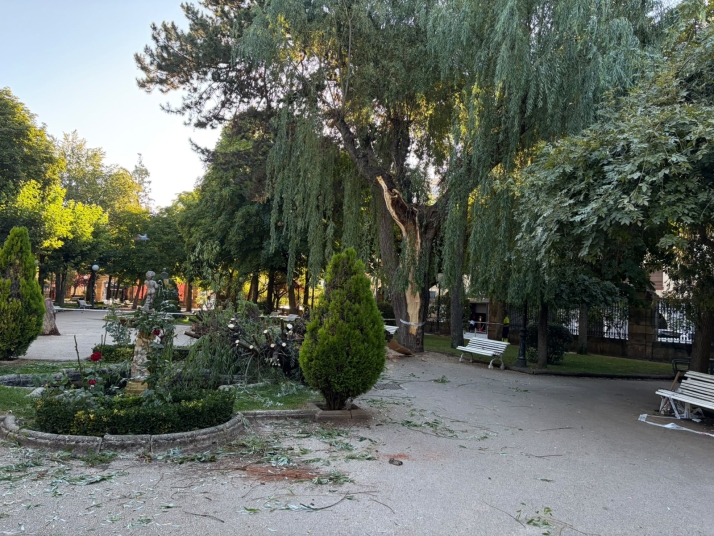 El Ayuntamiento retira la rama caída en La Dehesa y revisa el árbol para evitar nuevos desprendimientos