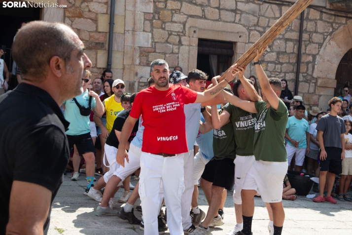 Pingada del Mayo en Vinuesa 2026