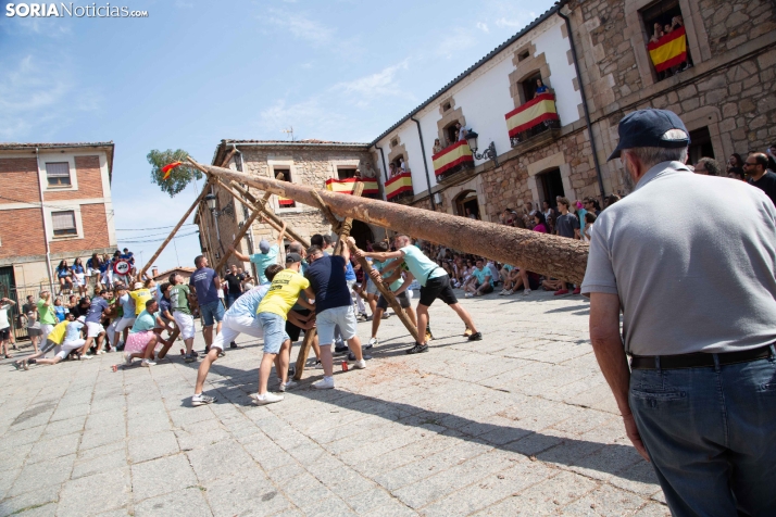 Pingada del Mayo en Vinuesa 2026